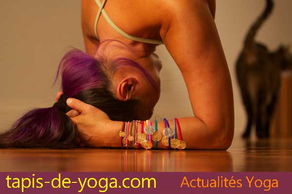 yoga accessoires divers quelles fonctions ?  Site/Blog Actualités, Infos  et Consommation